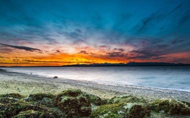 蜂群FC